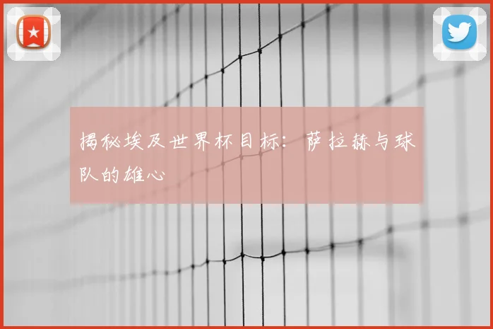 揭秘埃及世界杯目标:萨拉赫与球队的雄心