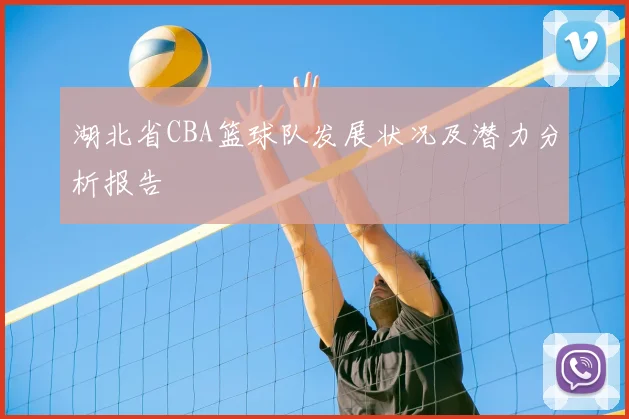 湖北省CBA篮球队发展状况及潜力分析报告